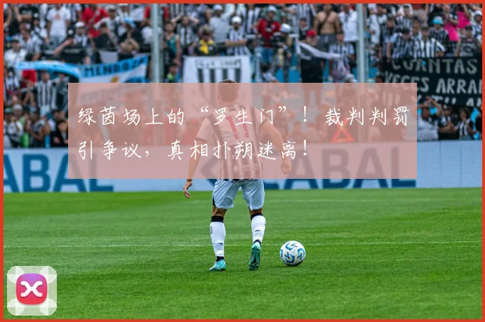 绿茵场上的“罗生门”!裁判判罚引争议,真相扑朔迷离!